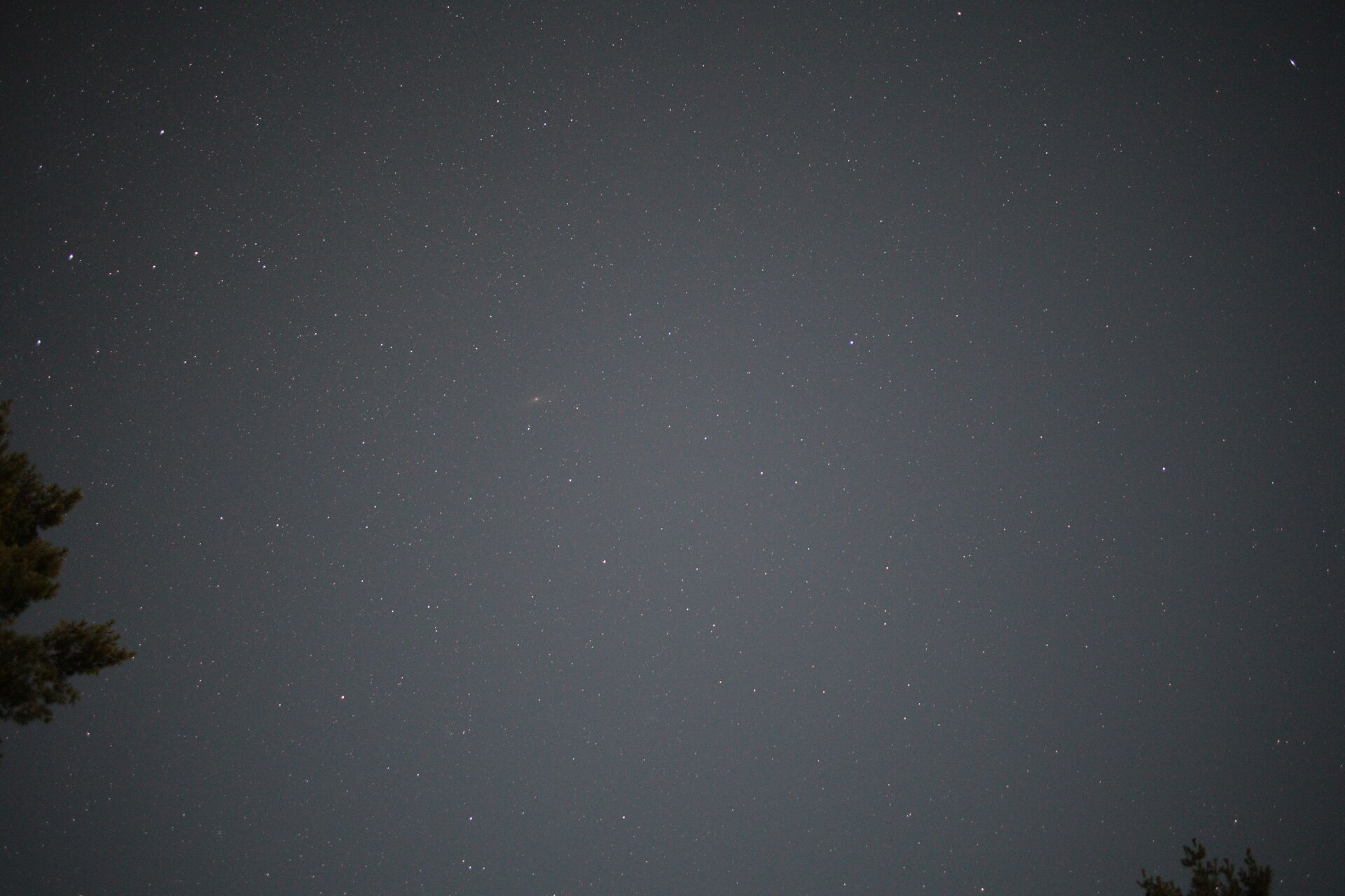 One exposure shot at f/2, 1600 ISO, for 8 sec. The starry night sky is grey tones with low contrast and hard to make out. Trees are near the bottom edges.