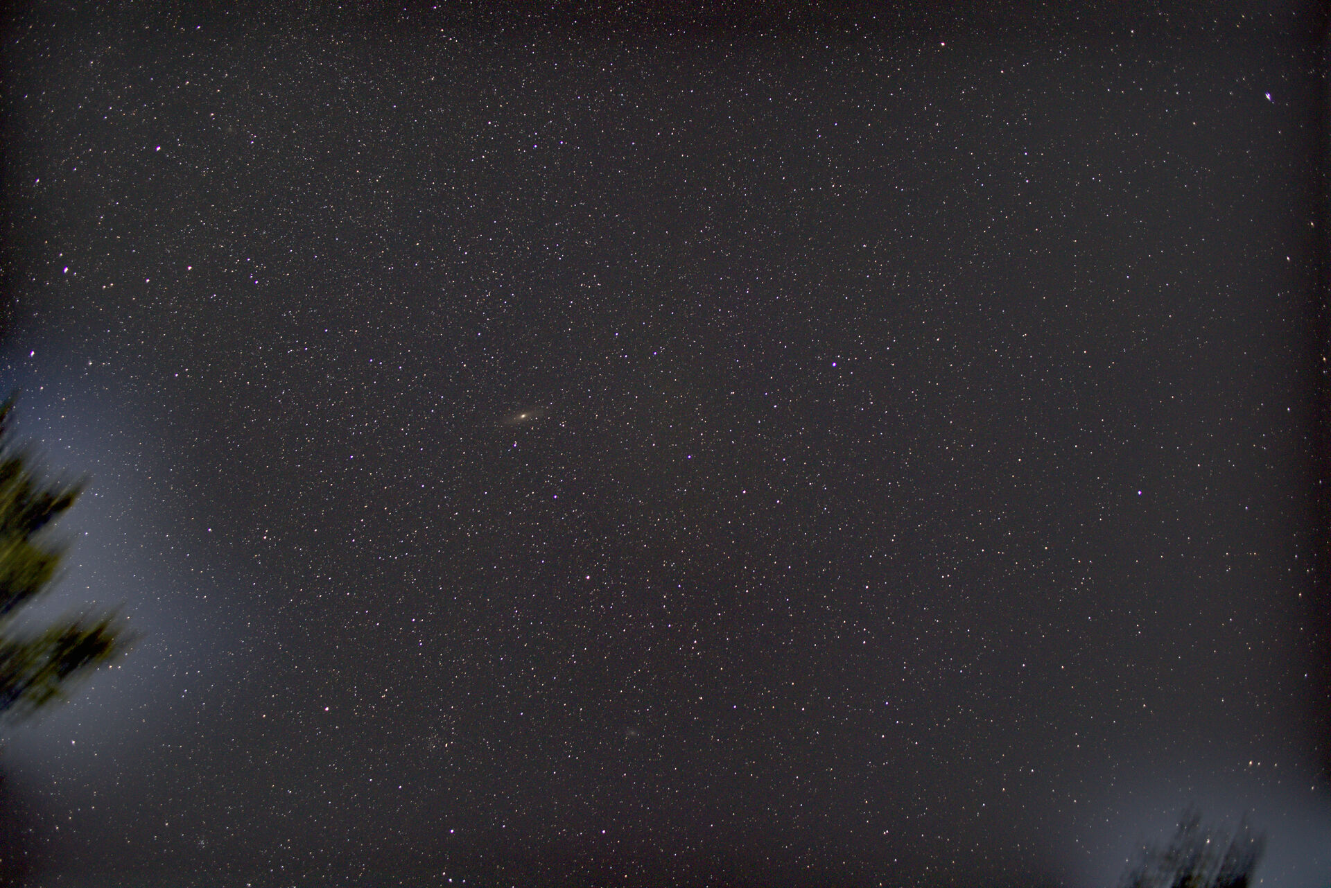 Unedited stacked image. The starry night sky is darker grey tones with more stars, better detail, and the trees are blurry and glowing in the bottom corners.